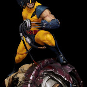 XM Wolverine